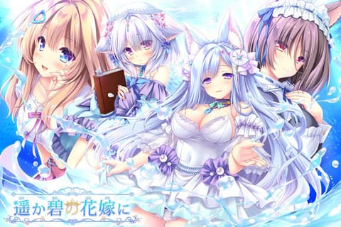 遥か碧の花嫁に&lt;安裝版>