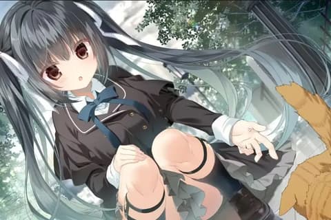 樱之刻-在樱花之森下漫步-