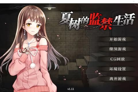 夏树的监禁生活