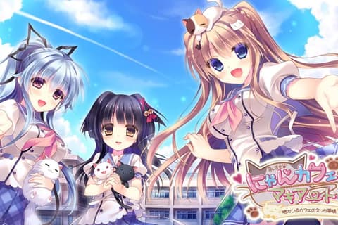 猫咖啡拉花 ～关于猫咪咖啡馆的那些事情