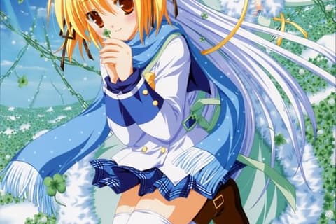 Clover Point / 四叶奇迹