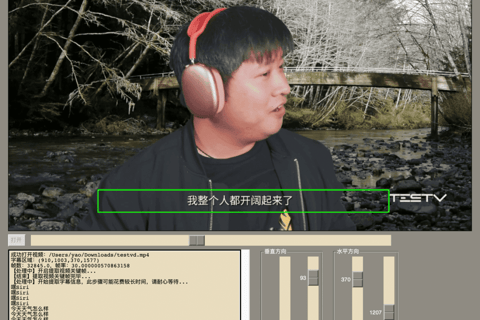 视频硬字幕提取