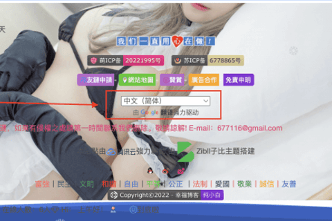 WordPress 网站上添加 Google 翻译按钮