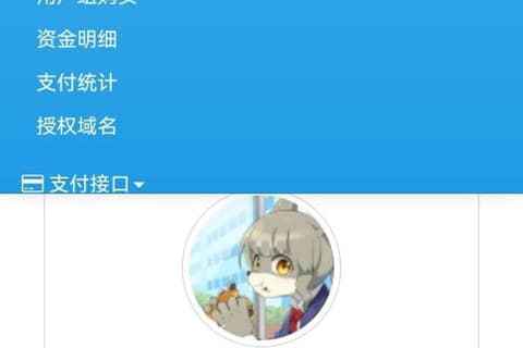 彩虹易支付管理系统